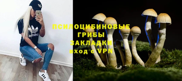 эйфоретик Алексеевка