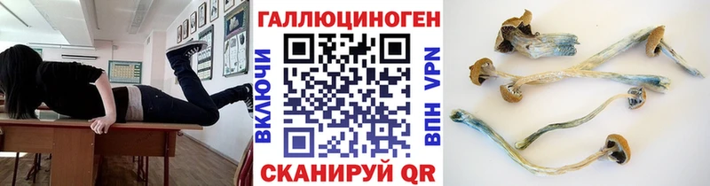 магазин  наркотиков  Глазов  Галлюциногенные грибы Magic Shrooms 